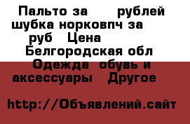  Пальто за 2000 рублей.шубка норковпч за 25000 руб › Цена ­ 20 000 - Белгородская обл. Одежда, обувь и аксессуары » Другое   